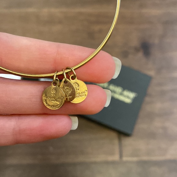 Alex and Ani Indigo Blue Adjustable Bracelet Bangle - Picture 3 of 6